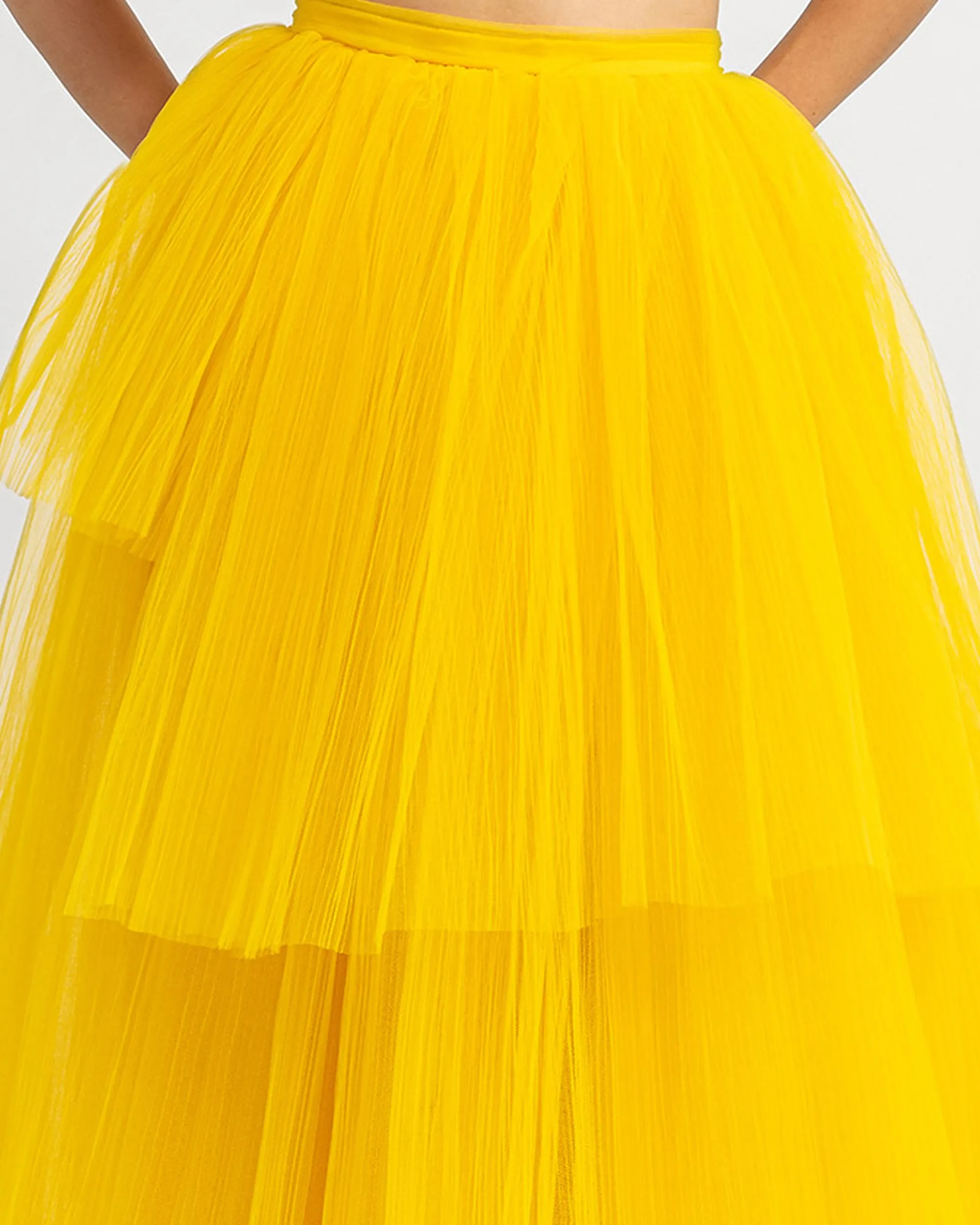 Pleated Tulle skirt