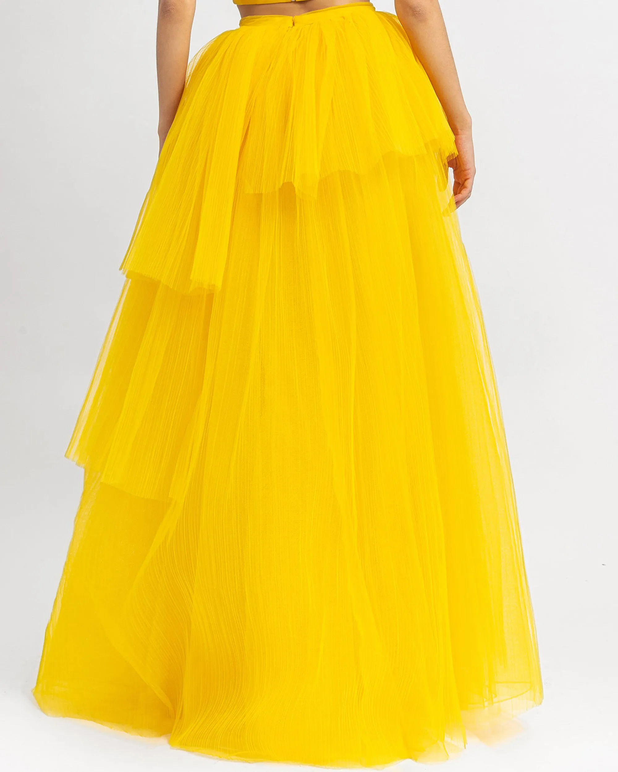 Pleated Tulle skirt